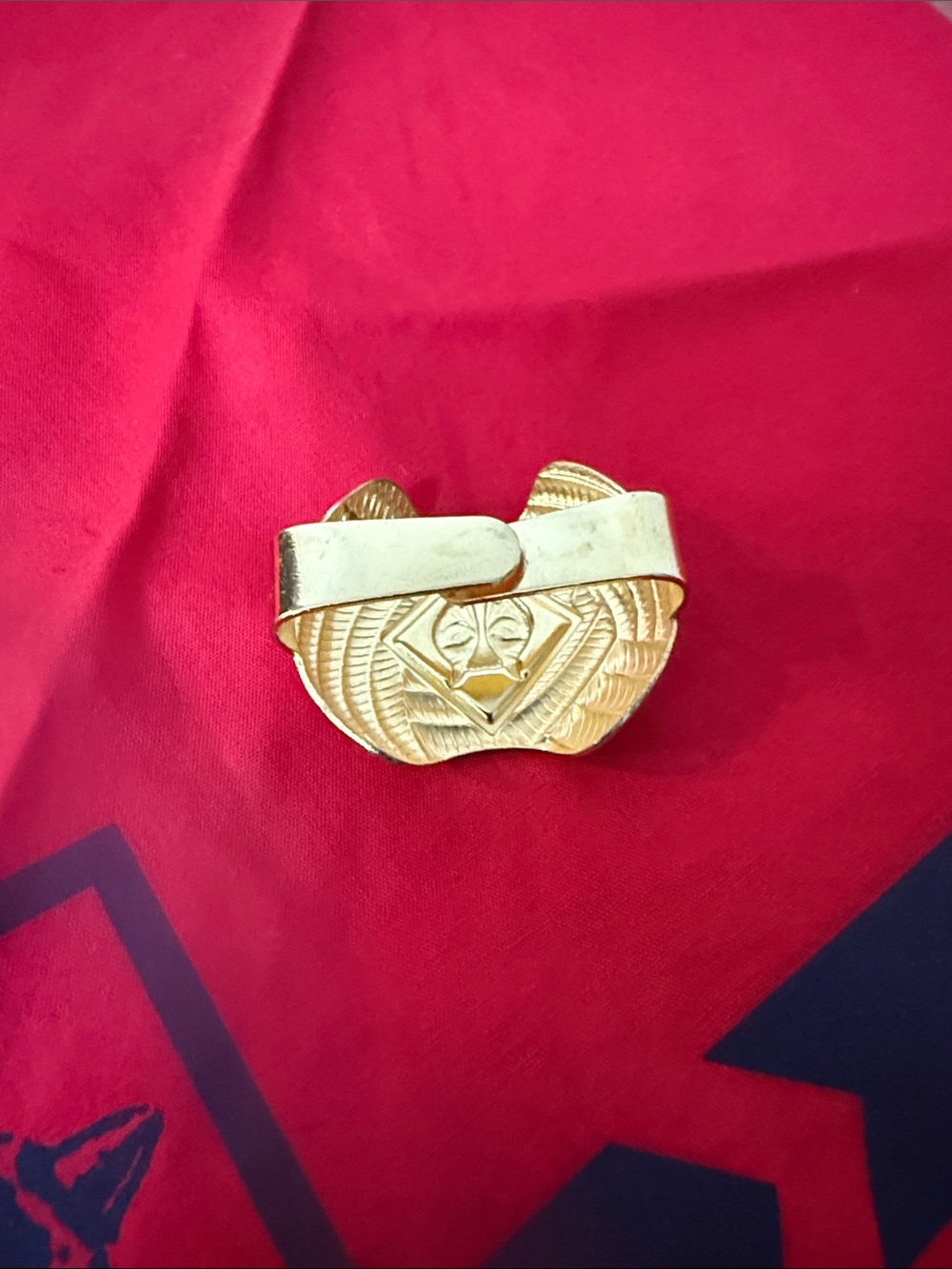 Cub Scouts Red & Navy Cub Scout Hat with Red Neckerchief and Pin - Picture 3 of 5